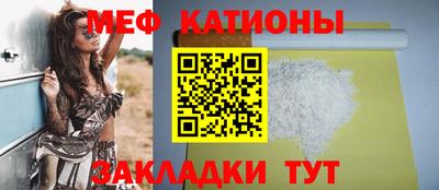 прущие грибы Сланцы