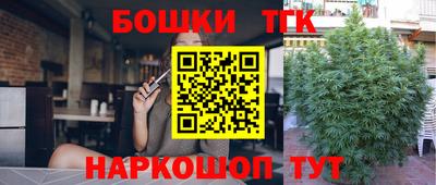 прущие грибы Сланцы