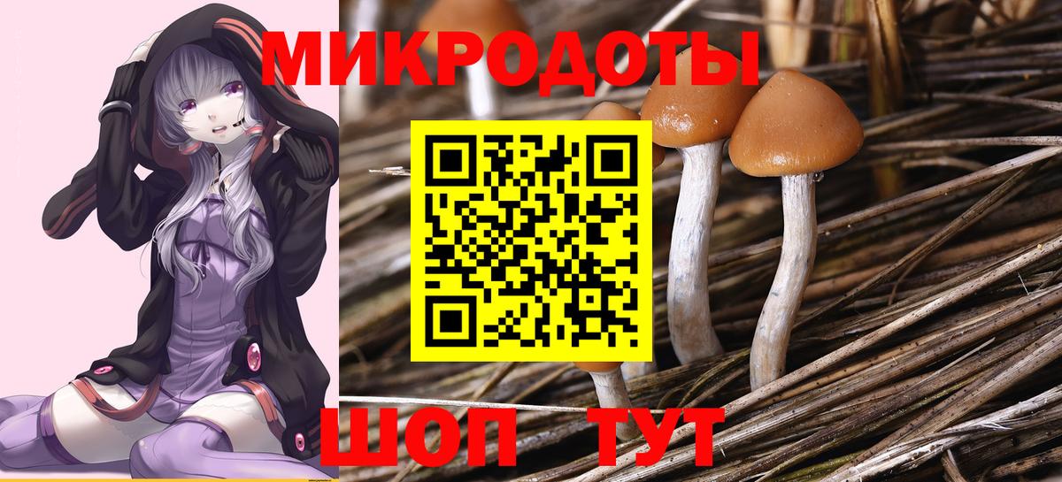 Галлюциногенные грибы Psilocybine cubensis  Галлюциногенные грибы мицелий  Белогорск  Вход с VPN 